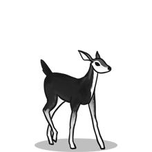 高速下载器的{固定网站名称23}