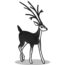 CC在线压力测试